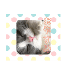 うにょにょ。スタンプ（個別スタンプ：2）