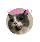 うにょにょ。スタンプ（個別スタンプ：12）