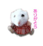 ちよちゃんとなかまたち（個別スタンプ：8）