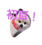 空ちゃんとの日々よ（個別スタンプ：8）