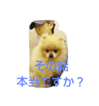 空ちゃんとの日々よ（個別スタンプ：12）
