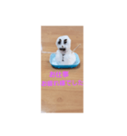 サードル（個別スタンプ：7）