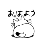 ねことんとん 白猫の日常会話01（個別スタンプ：1）