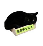 黒猫メル（個別スタンプ：1）