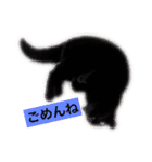 黒猫メル（個別スタンプ：3）