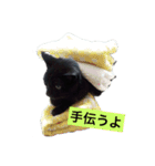 黒猫メル（個別スタンプ：6）
