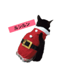 黒猫メル（個別スタンプ：10）