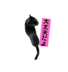 黒猫メル（個別スタンプ：23）