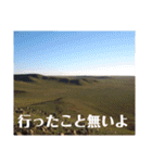 海と空と草原と馬と。モンゴルの風景写真（個別スタンプ：28）