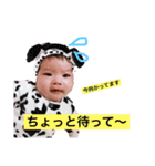 おーちゃんすたんぷ1118（個別スタンプ：1）