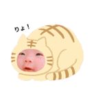 おーちゃんすたんぷ1118（個別スタンプ：16）