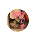 武蔵 小次郎（個別スタンプ：1）