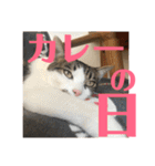 武蔵 小次郎（個別スタンプ：10）