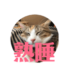 武蔵 小次郎（個別スタンプ：13）