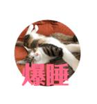 武蔵 小次郎（個別スタンプ：14）
