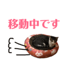 武蔵 小次郎（個別スタンプ：18）