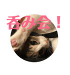 武蔵 小次郎（個別スタンプ：19）