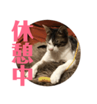武蔵 小次郎（個別スタンプ：20）