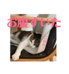 武蔵 小次郎（個別スタンプ：26）