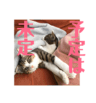 武蔵 小次郎（個別スタンプ：32）