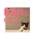 武蔵 小次郎（個別スタンプ：34）