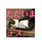 武蔵 小次郎（個別スタンプ：39）