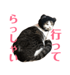 武蔵 小次郎（個別スタンプ：40）