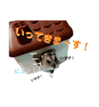 ハムすたんぷ〜日常編〜（個別スタンプ：6）