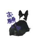 とまちゃん2（個別スタンプ：9）