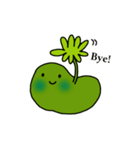 苔＊ぜにごけシリーズ（個別スタンプ：4）