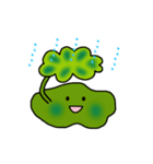 苔＊ぜにごけシリーズ（個別スタンプ：12）