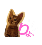 ベンガルLeonちゃん2（個別スタンプ：32）