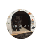 かわさき（個別スタンプ：1）