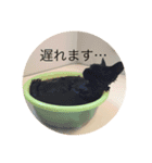 かわさき（個別スタンプ：4）