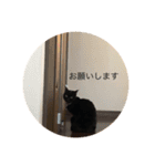 かわさき（個別スタンプ：5）