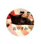 かわさき（個別スタンプ：6）