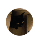かわさき（個別スタンプ：10）