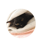 かわさき（個別スタンプ：11）