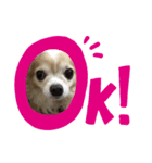 Smile kinako スタンプ（個別スタンプ：2）