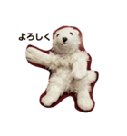 キャンキャンの日常（個別スタンプ：1）