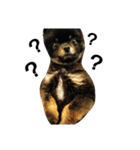 熊  犬（個別スタンプ：27）