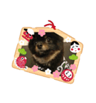 熊  犬（個別スタンプ：32）