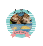 kiki＆rara（個別スタンプ：8）