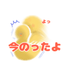 ひよこにも言わせて（個別スタンプ：4）