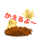 ひよこにも言わせて（個別スタンプ：5）