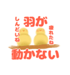 ひよこにも言わせて（個別スタンプ：24）