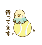 やさしいインコちゃんず（個別スタンプ：15）