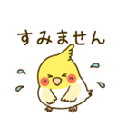 やさしいインコちゃんず（個別スタンプ：22）