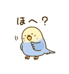 やさしいインコちゃんず（個別スタンプ：24）