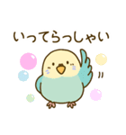 やさしいインコちゃんず（個別スタンプ：30）